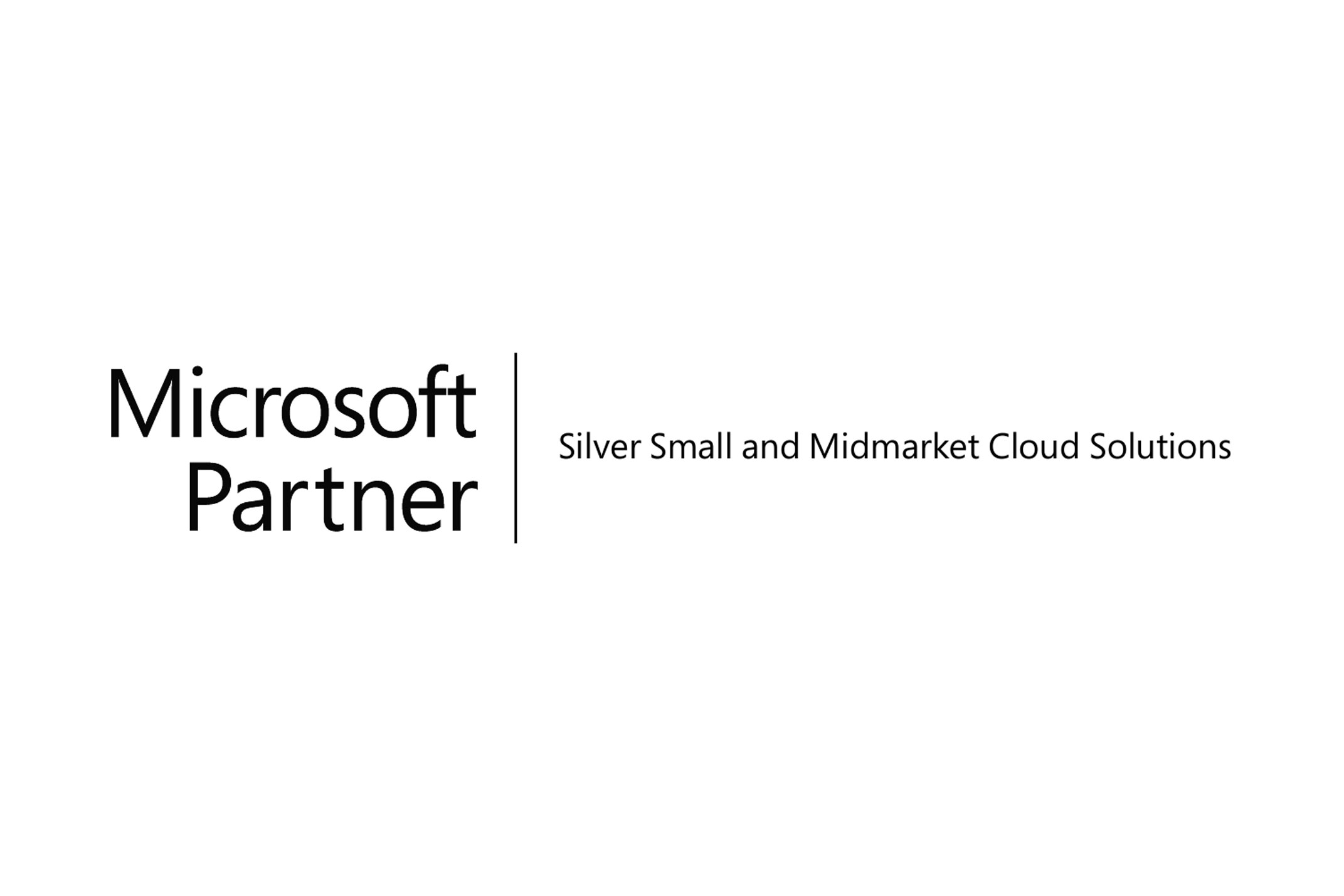 Microsoft Partner